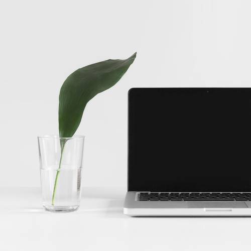 Photo by Sarah Dorweiler on Unsplash