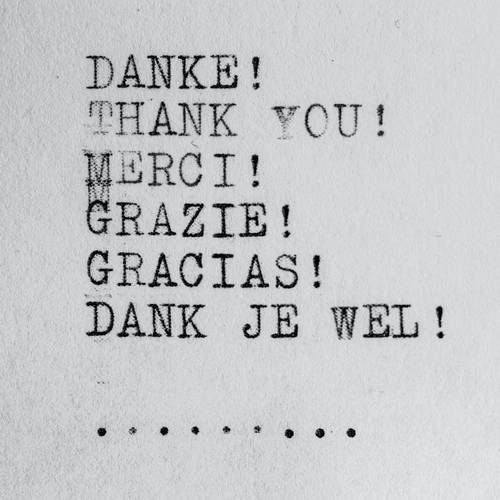 Wilhelm Gunkel on Unsplash