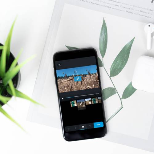 Photo by Alexander Andrews on Unsplash