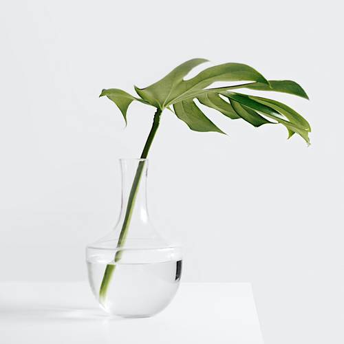 Photo by Sarah Dorweiler on Unsplash